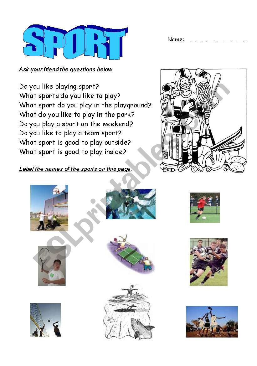 What sports do you like? worksheet