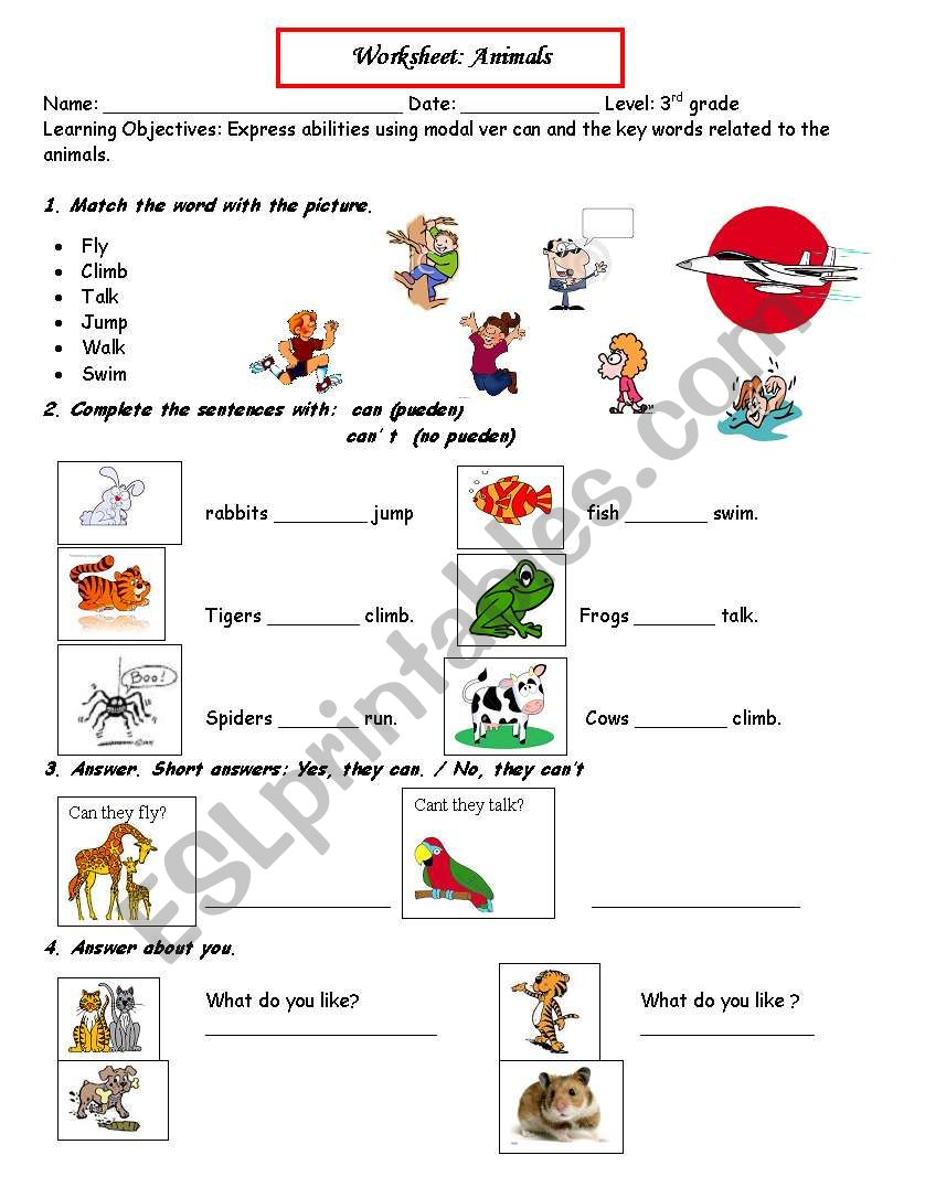 animals worksheet