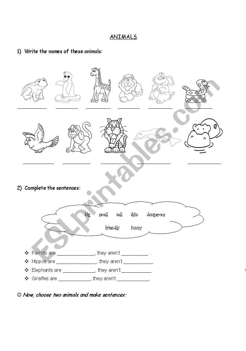 Animals worksheet