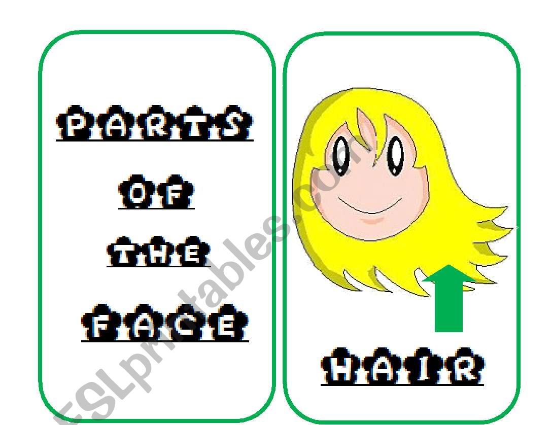 PARTS OF THE FACE worksheet