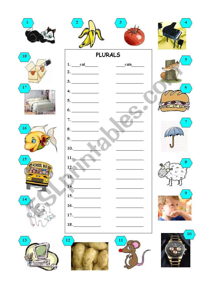 Plural Forms Exercises worksheet