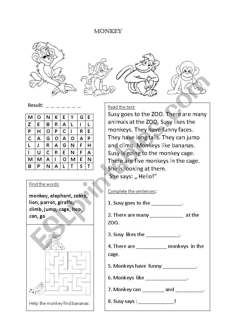 Monkey worksheet