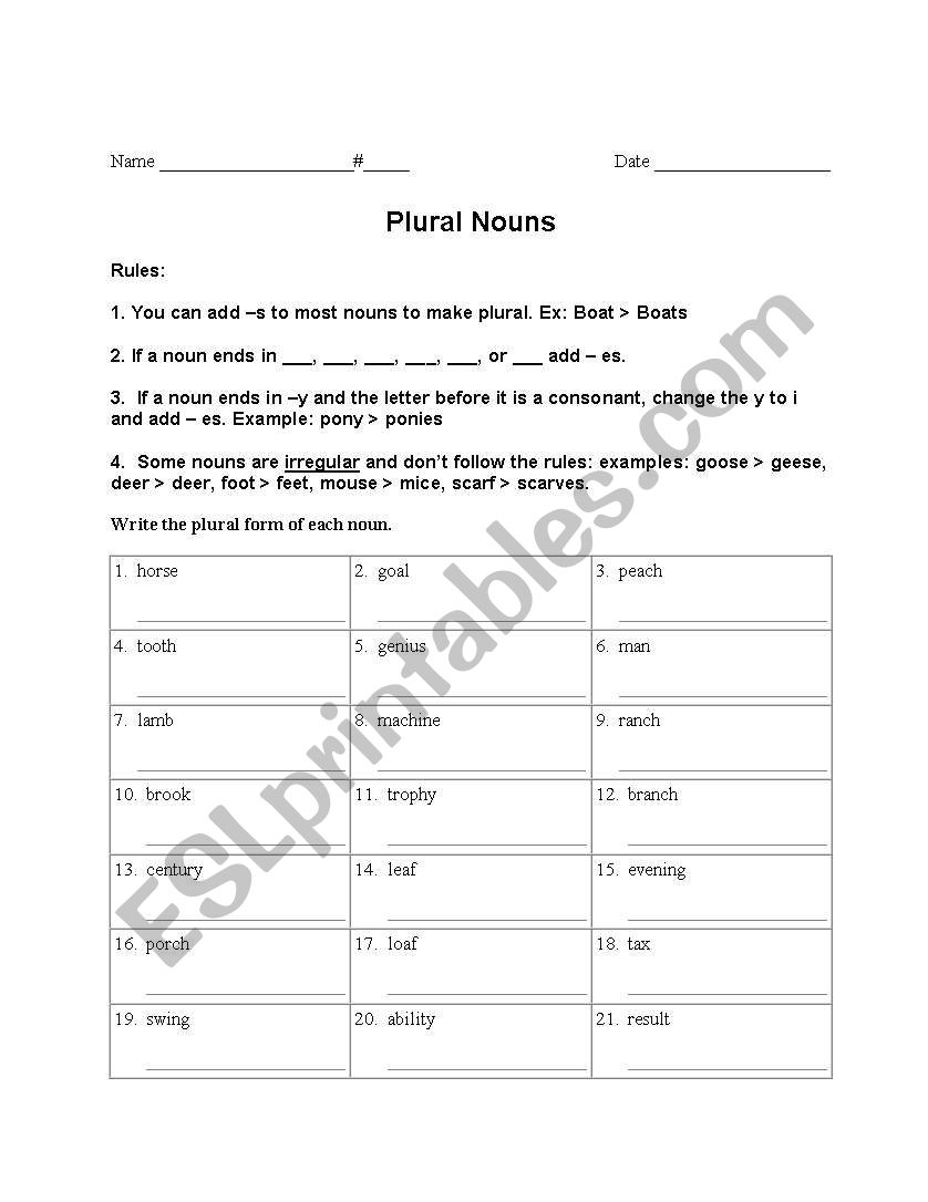Plural Nouns  worksheet