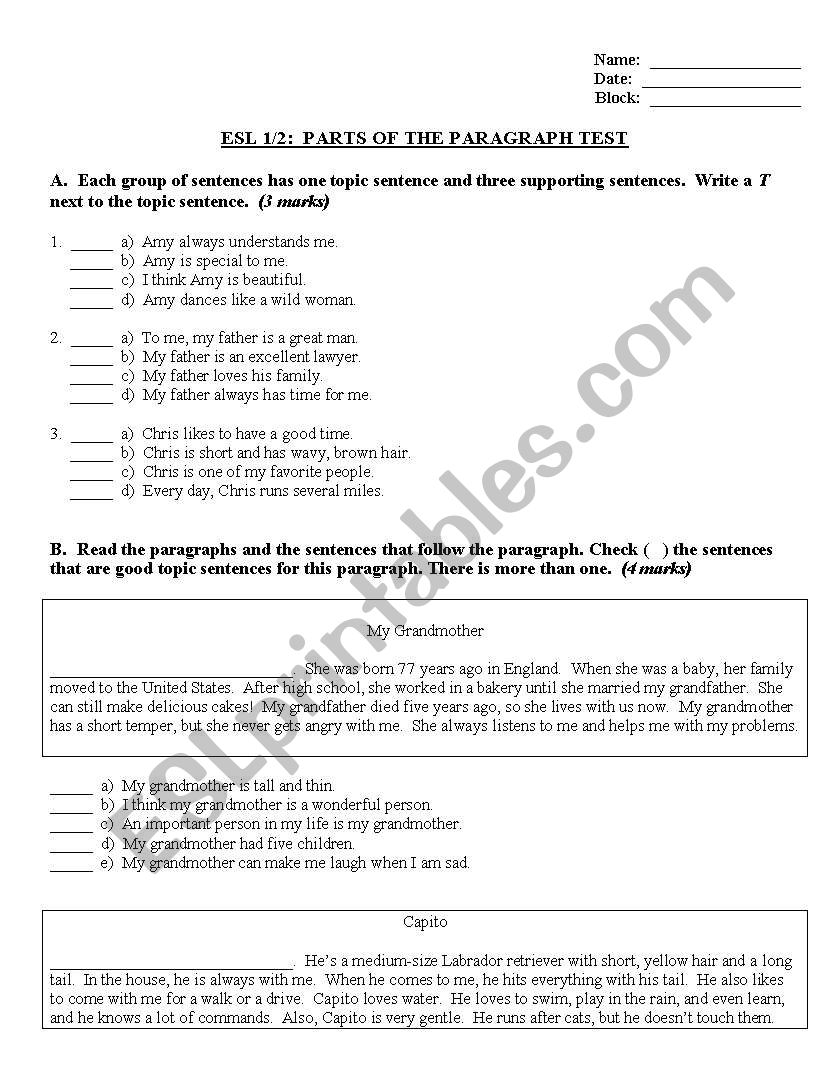 Paragraph Organization Test worksheet