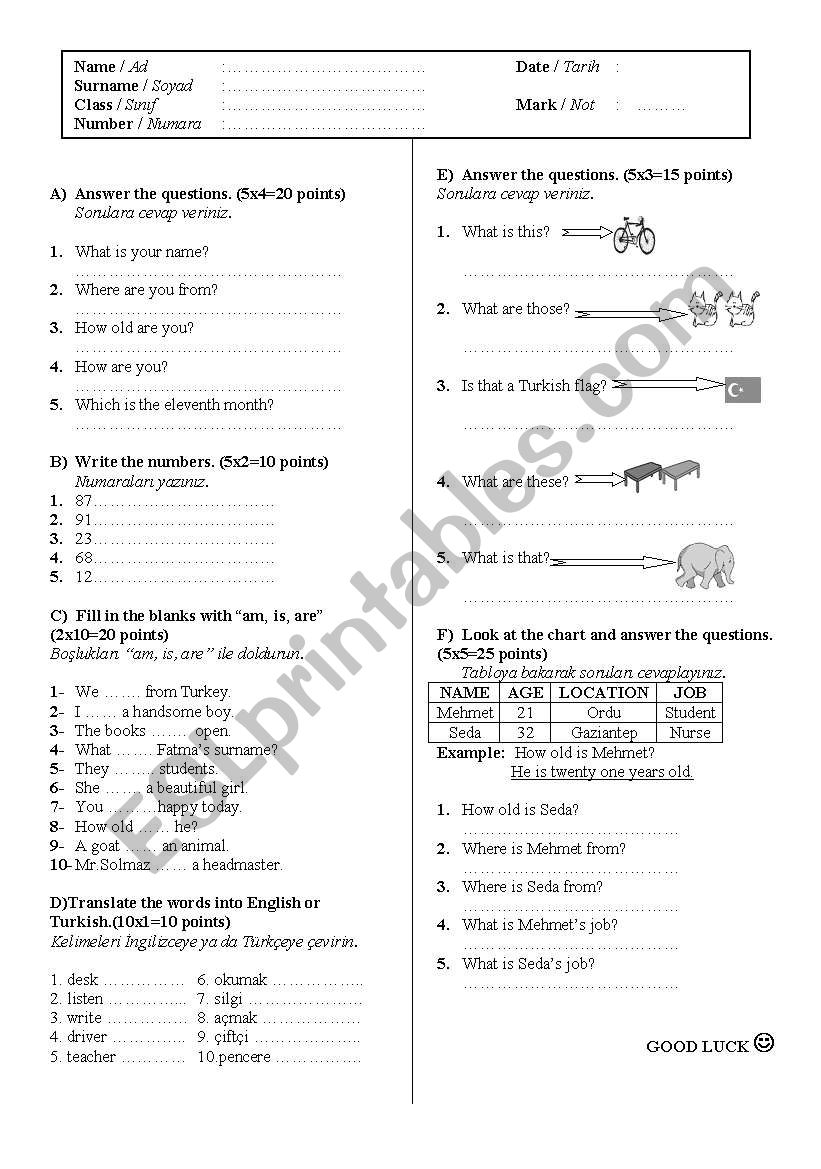 6th classes worksheet worksheet