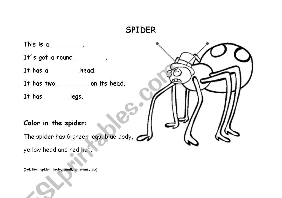 Spider body worksheet