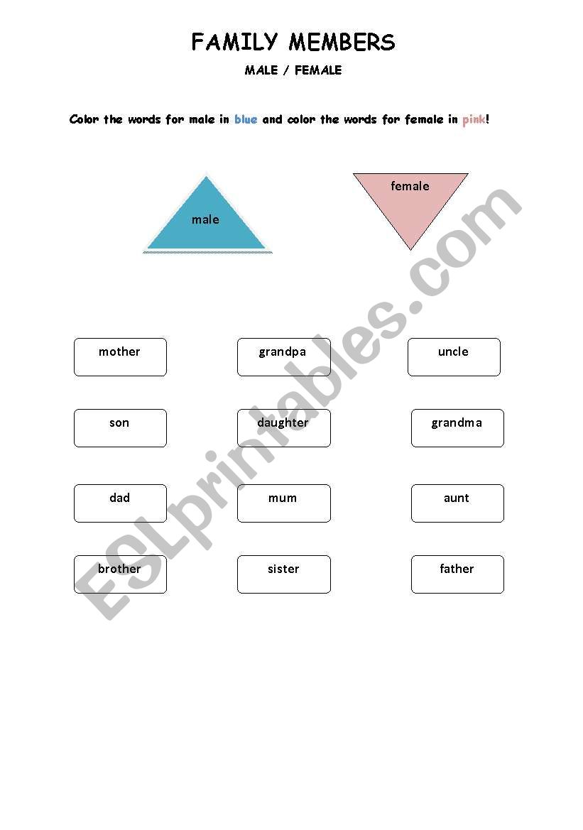 Family Members-Male/Female worksheet