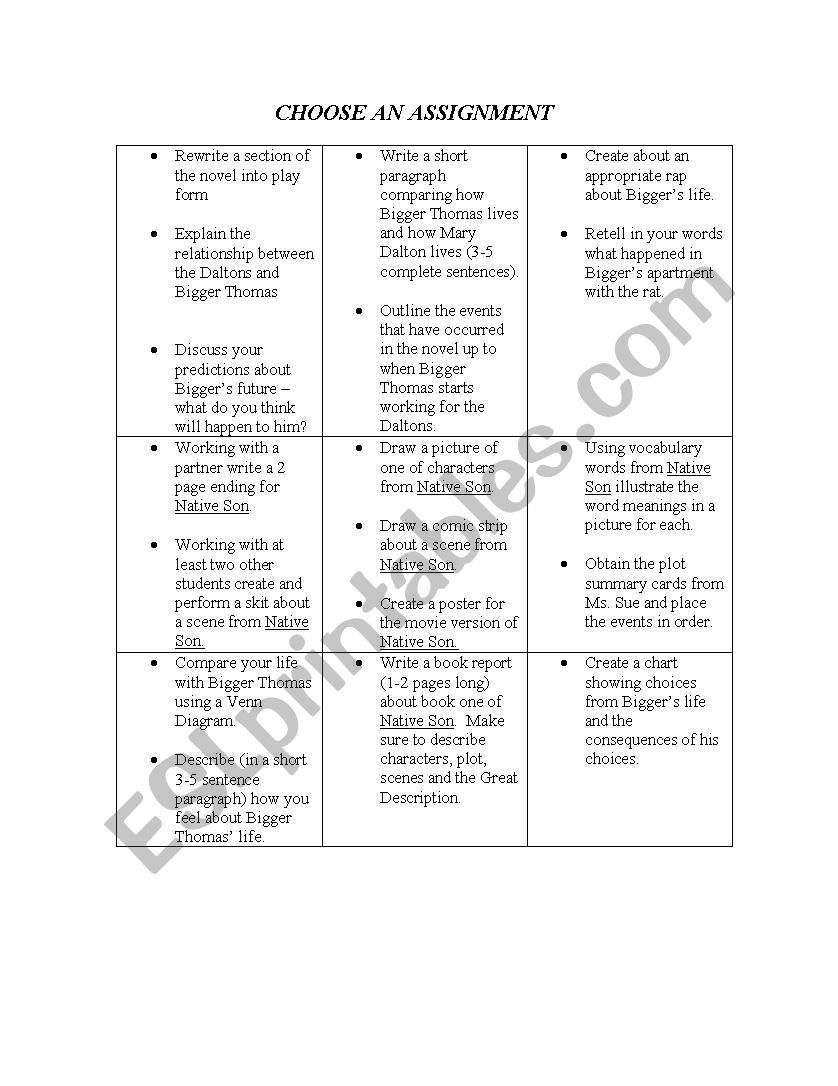 differentiated activities for Native Son