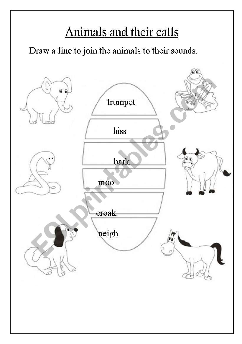 Animals and their calls worksheet