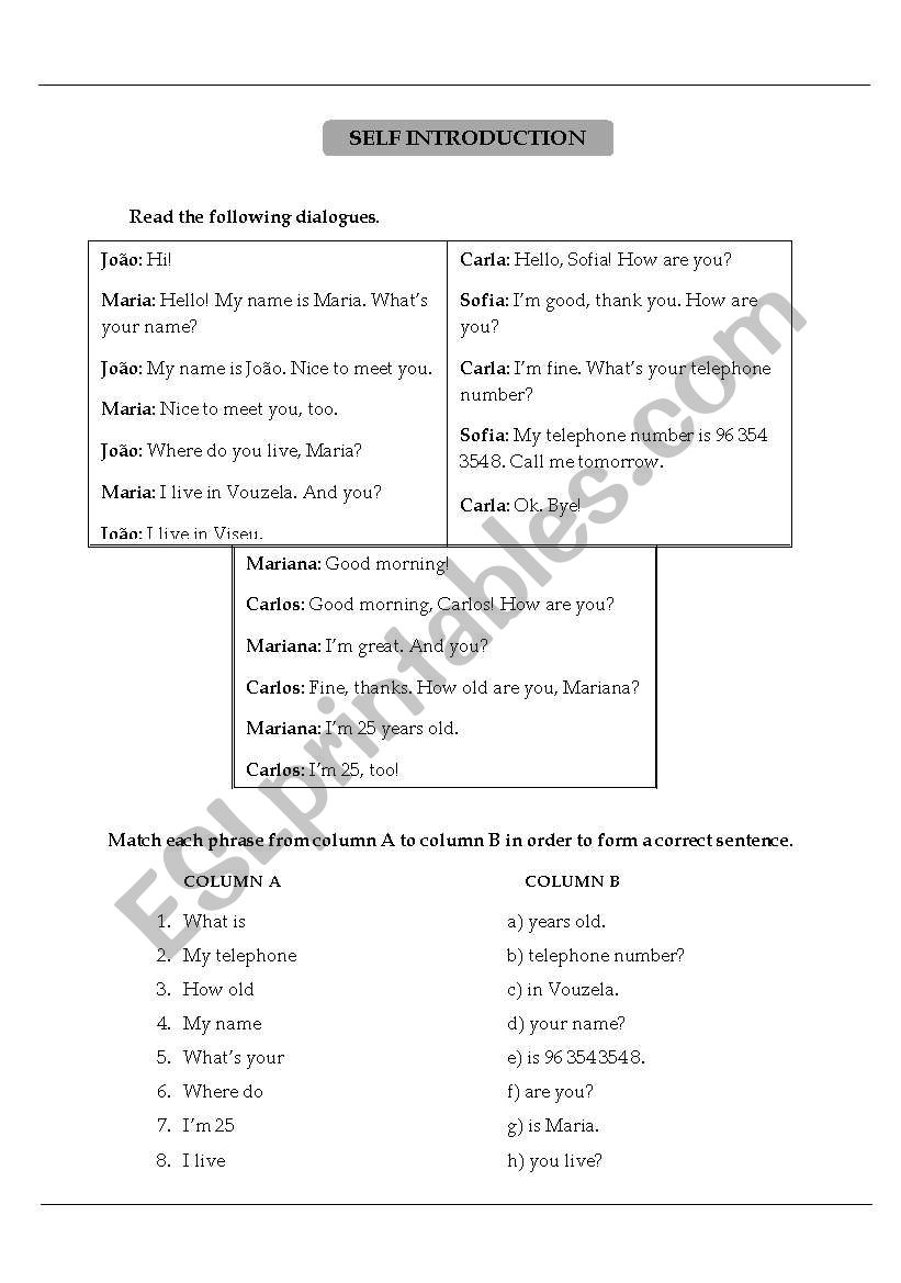 Self - introduction worksheet