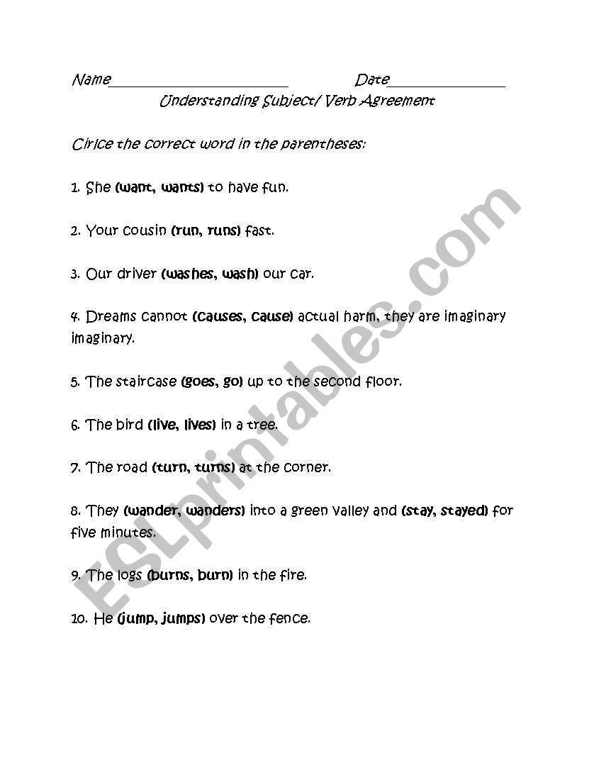 Subject Verb Agreement worksheet