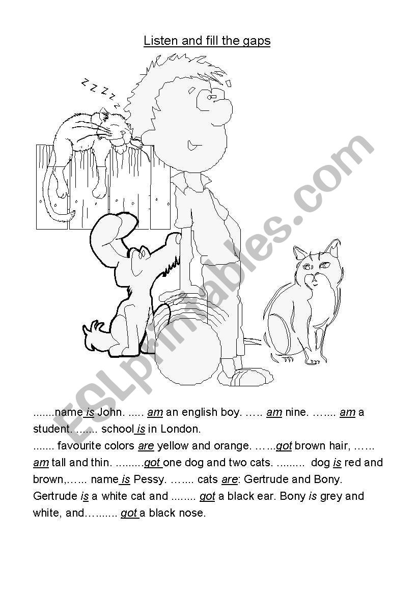 pronouns & adjectives  worksheet