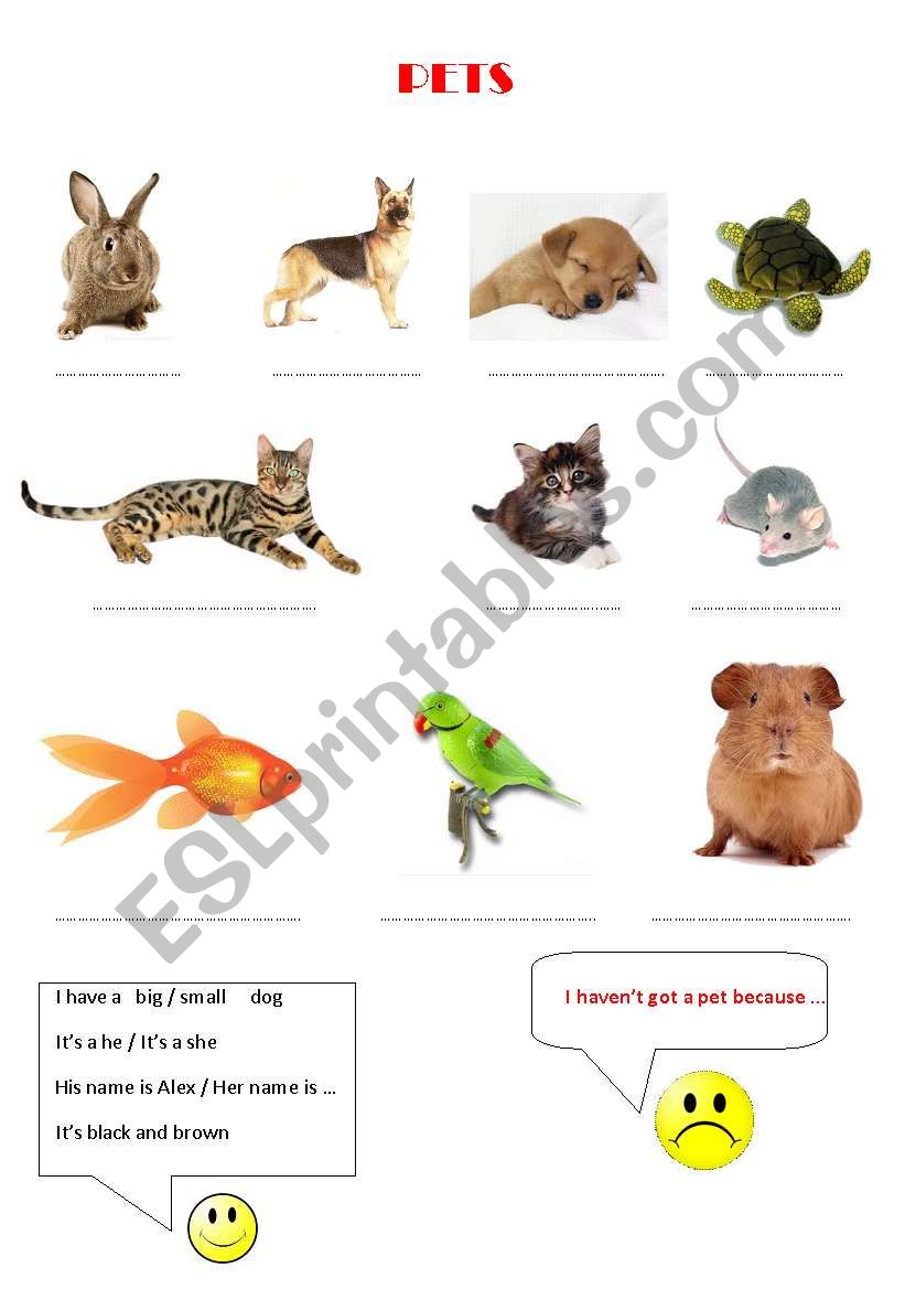 PETS worksheet