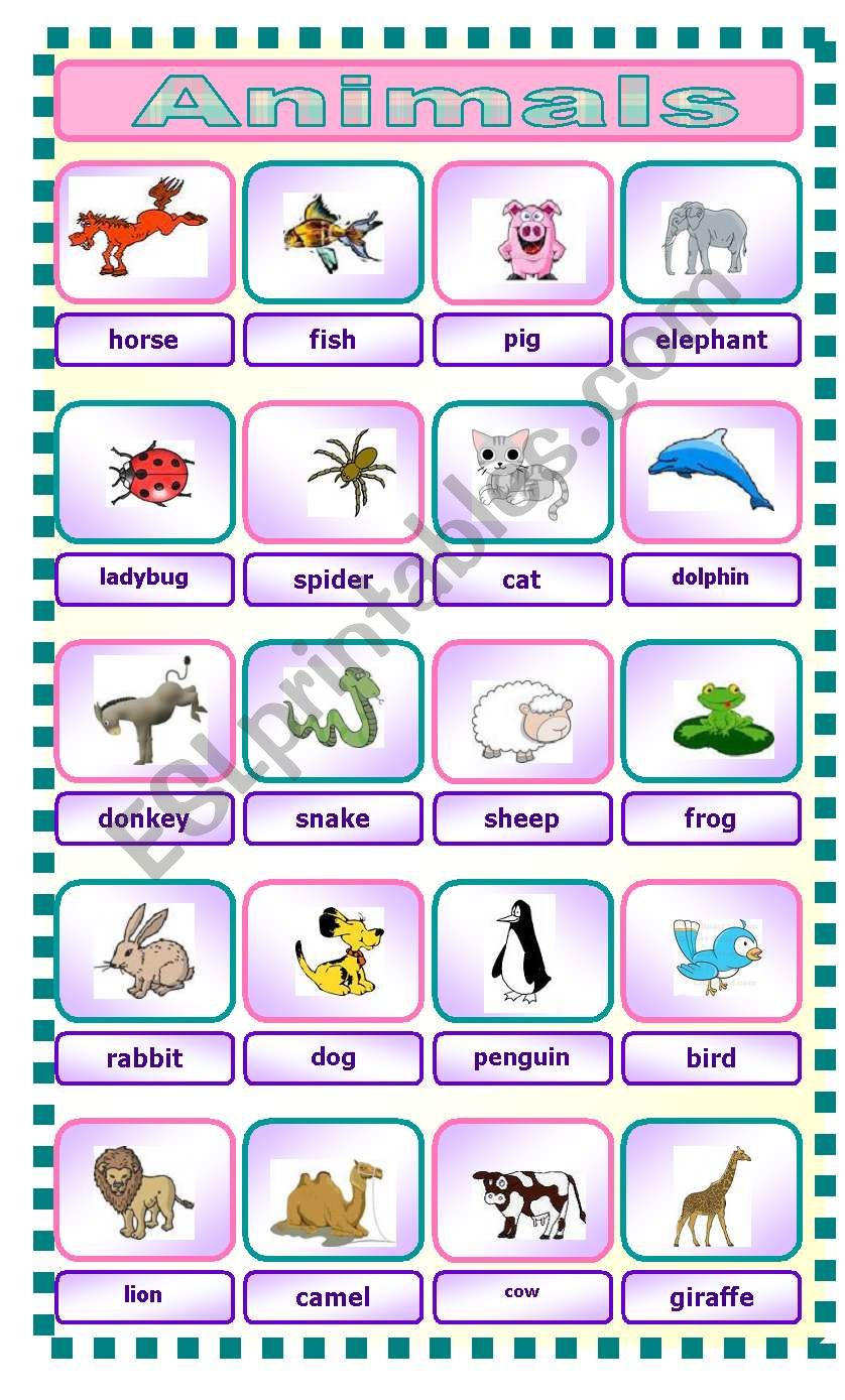 Animals worksheet