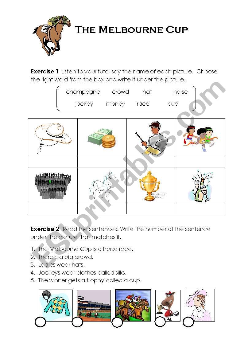 The Melbourne Cup  worksheet