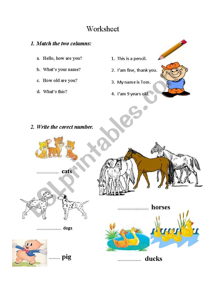 worksheet: numbers and easy questions