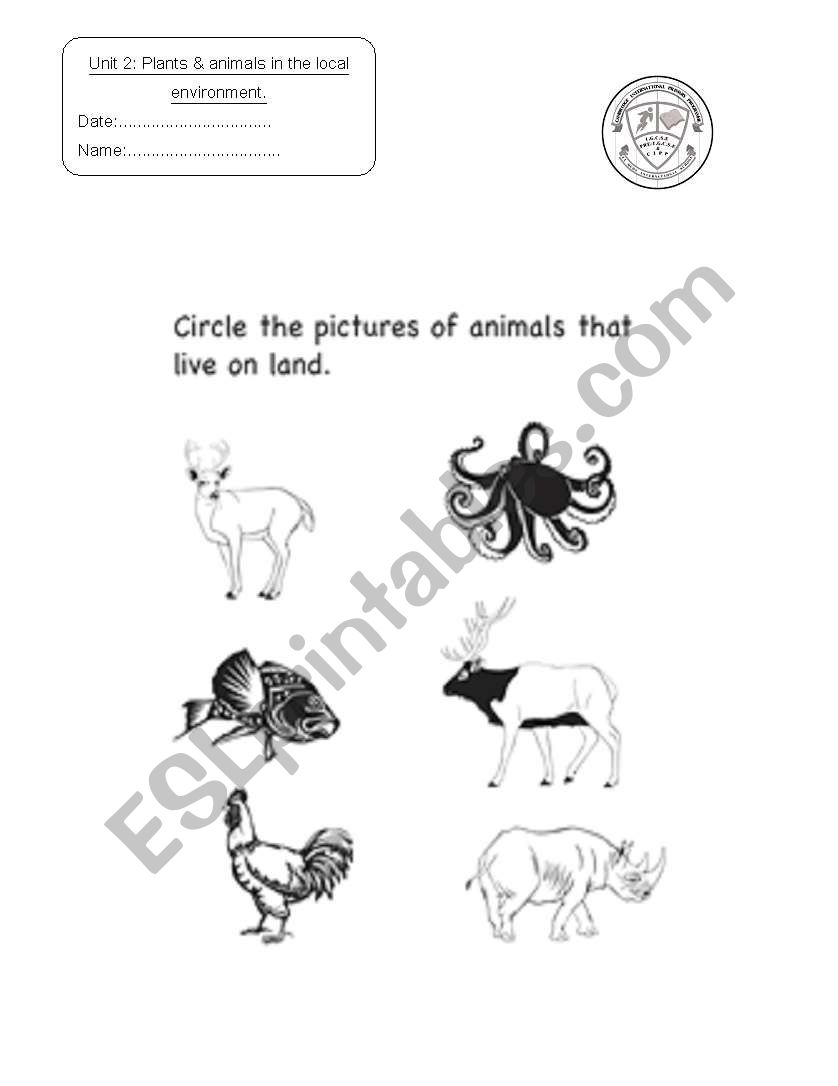 land animals worksheet