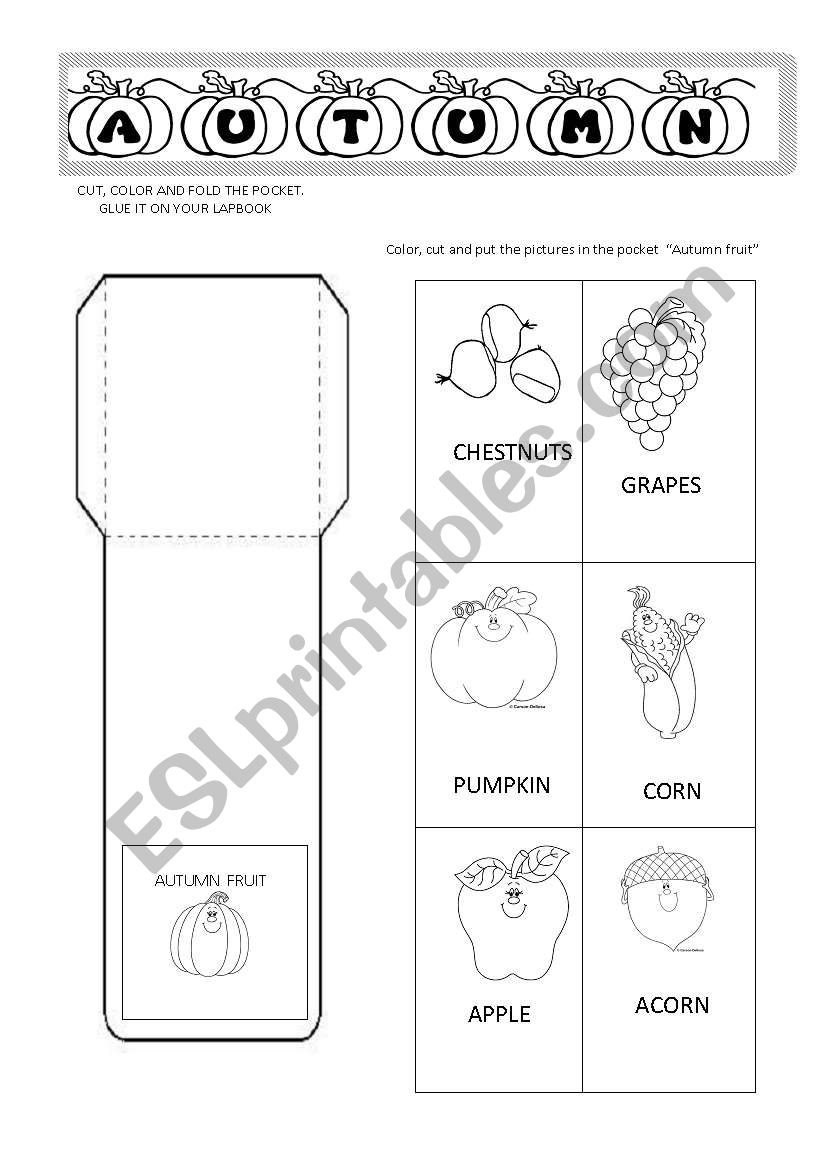 AUTUMN  AND WINTER LAPBOOK  PART 1