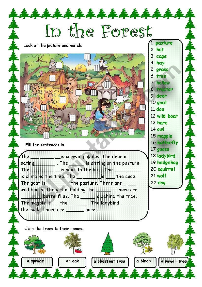 In the Forest worksheet