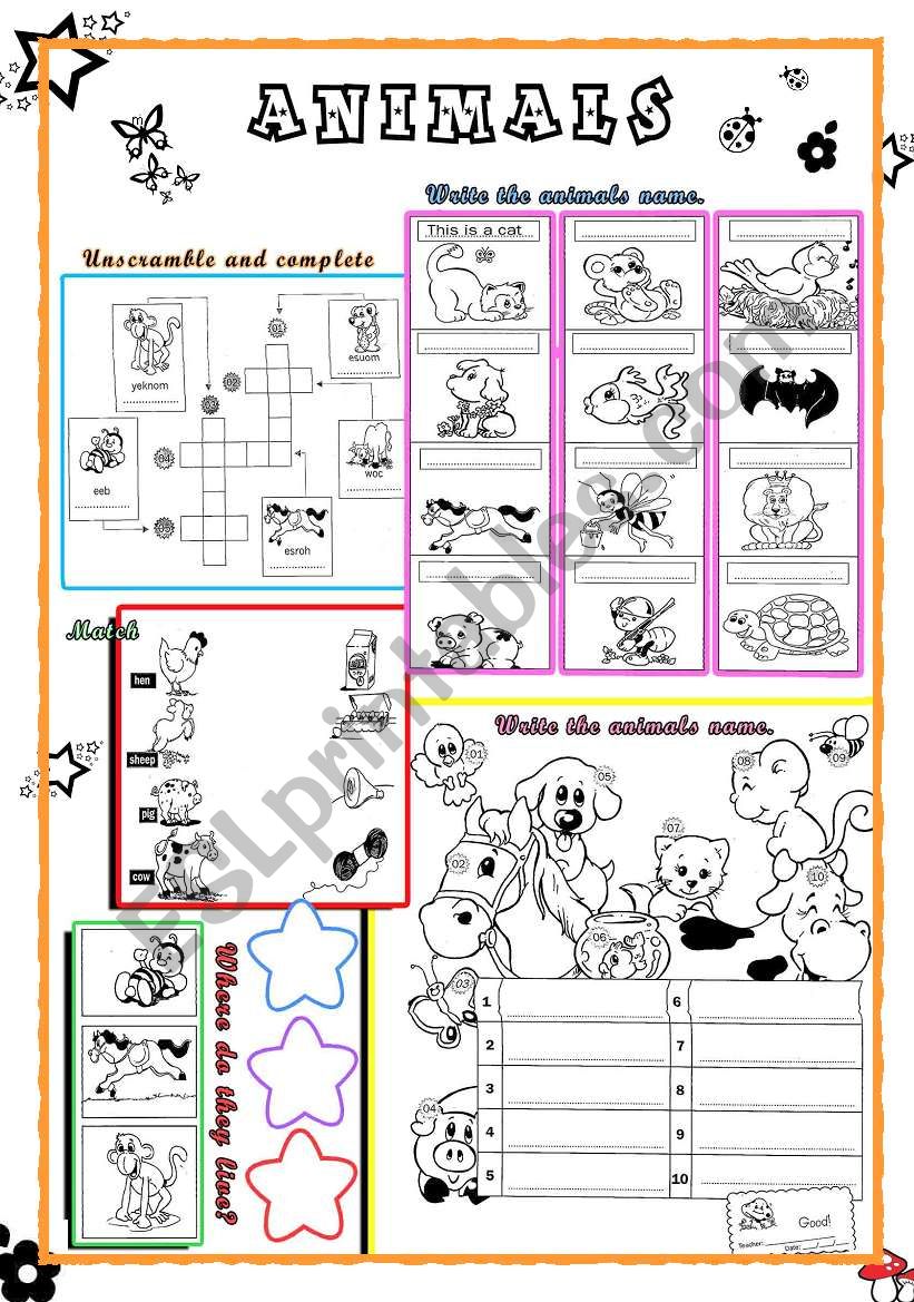 Animals  worksheet