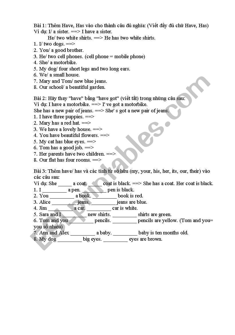 have or has worksheet
