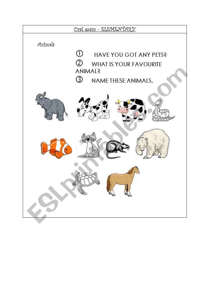 ORAL EXAM card 5 ELEMENTARY worksheet