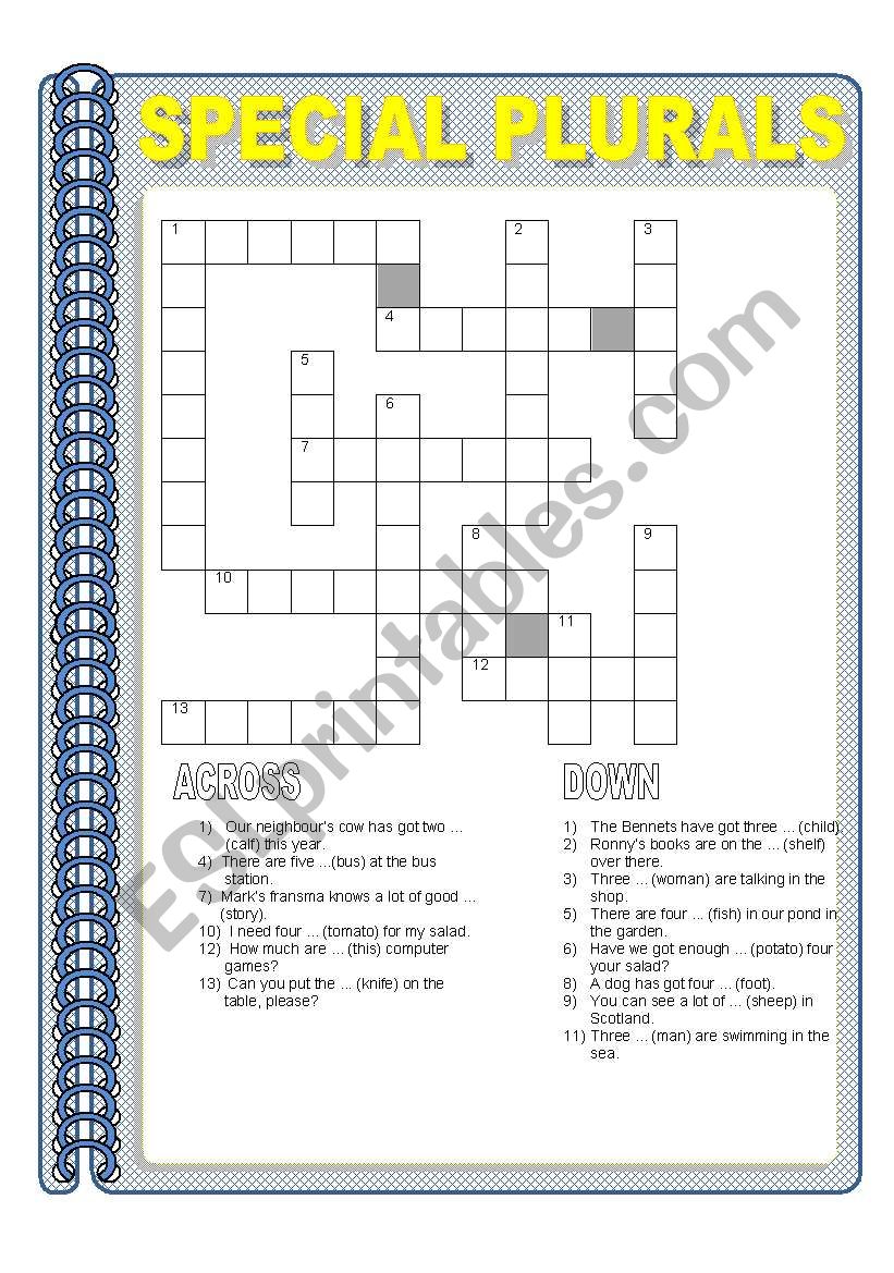 SPECIAL PLURALS worksheet