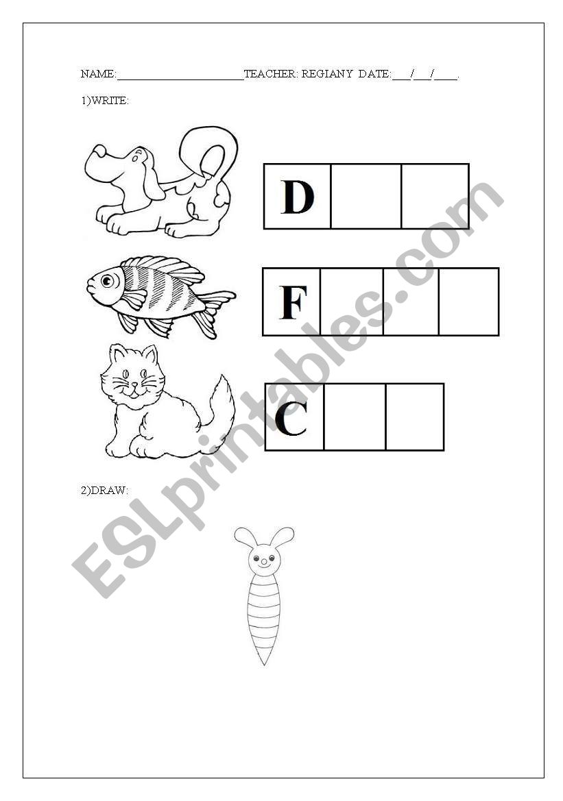 ANIMALS worksheet