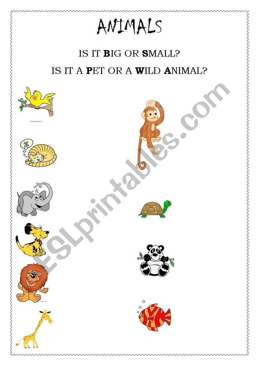 Animals worksheet