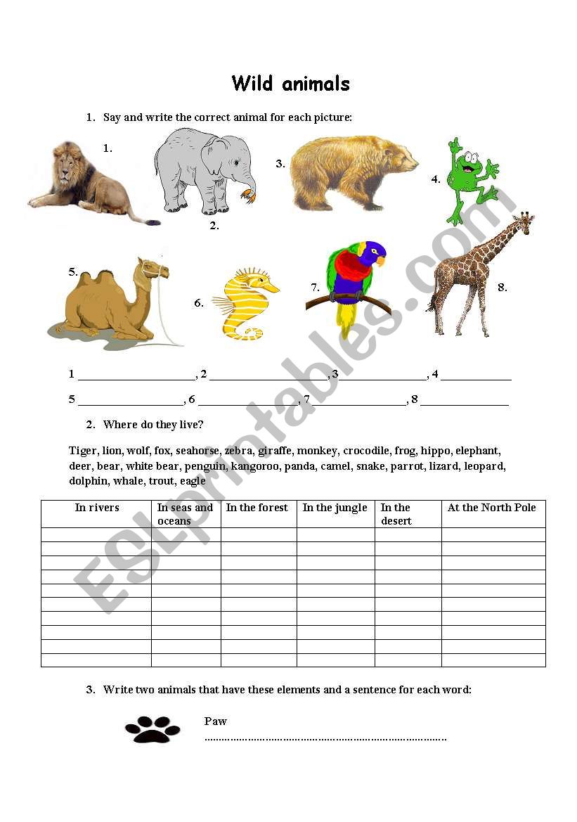 Wild animals, location, new animal vocabulary