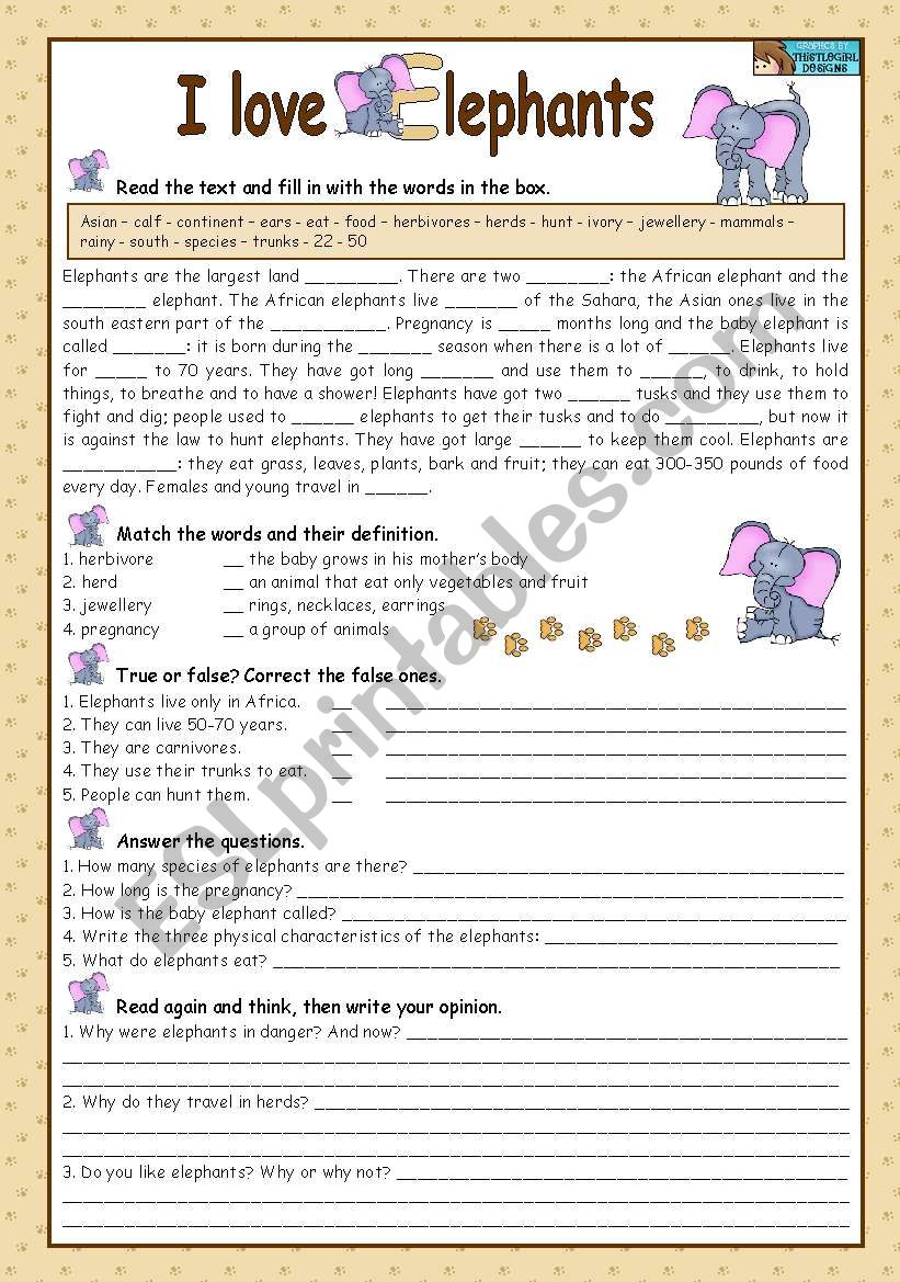 I LOVE ELEPHANTS worksheet