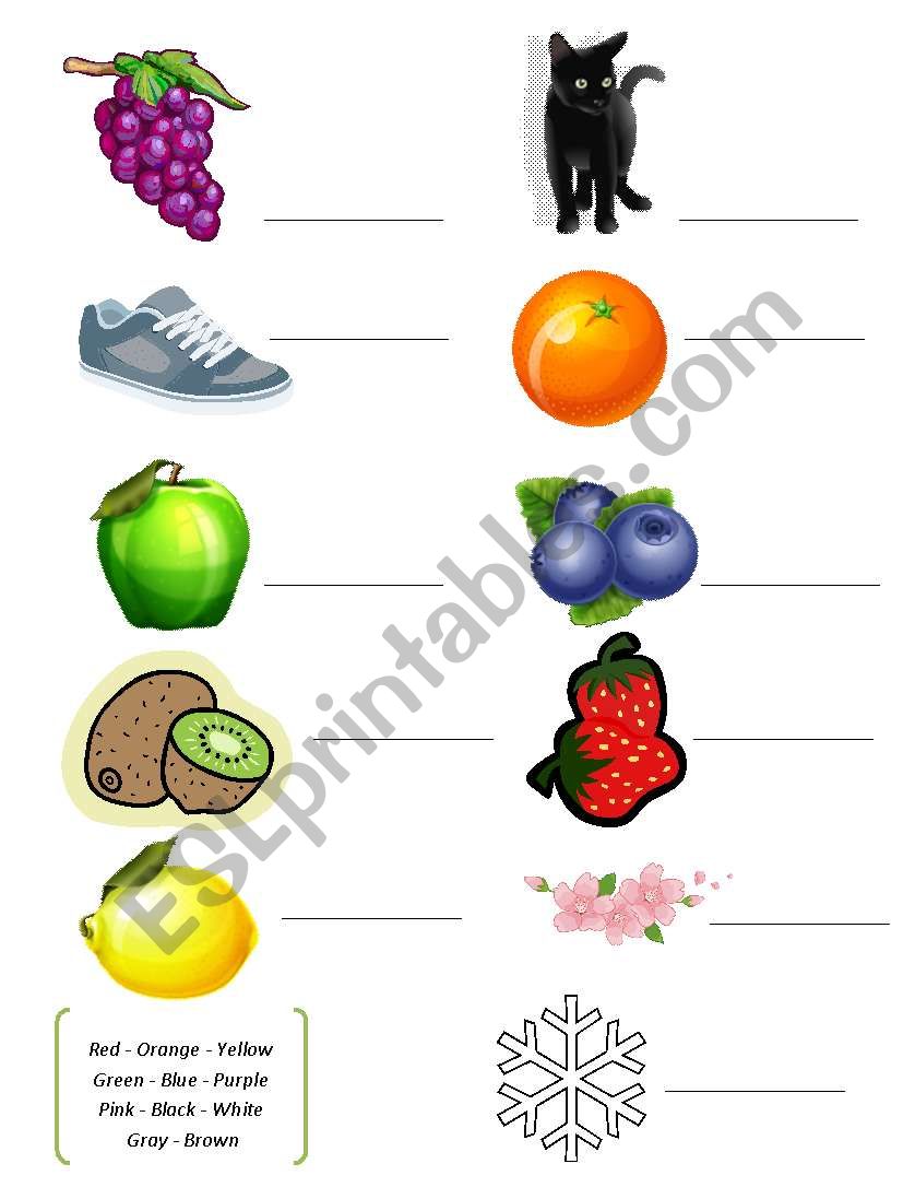 Matching Colors worksheet