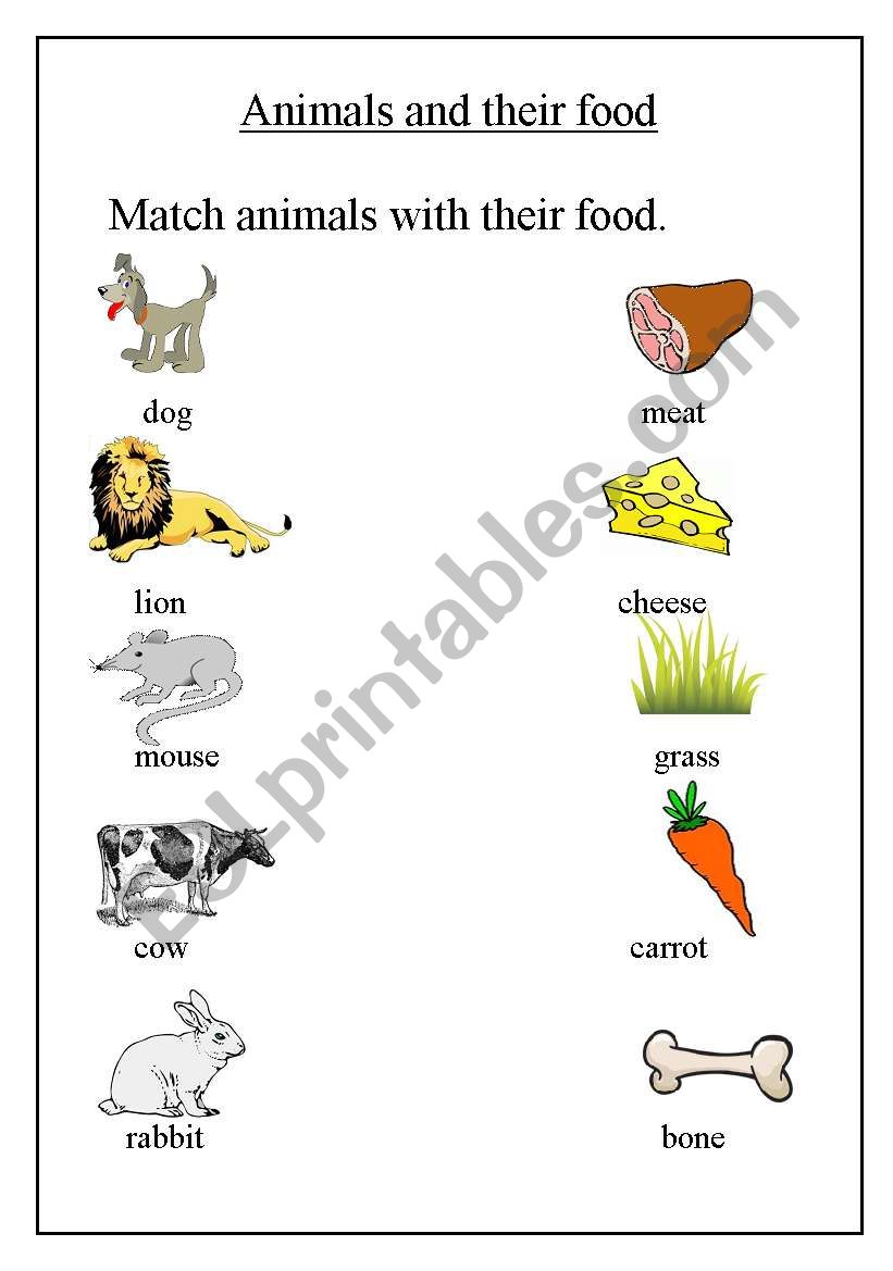 Connect The Animal To Its Food Kindergarten Preschool Reading Writing