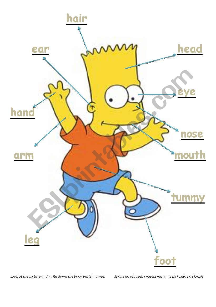 Body parts - Bart Simpson (learning to write and read)