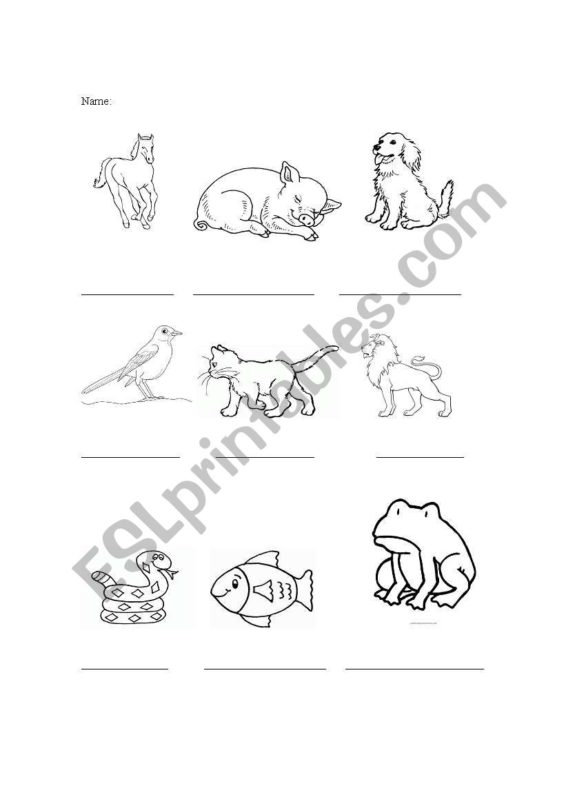 Animals I know worksheet