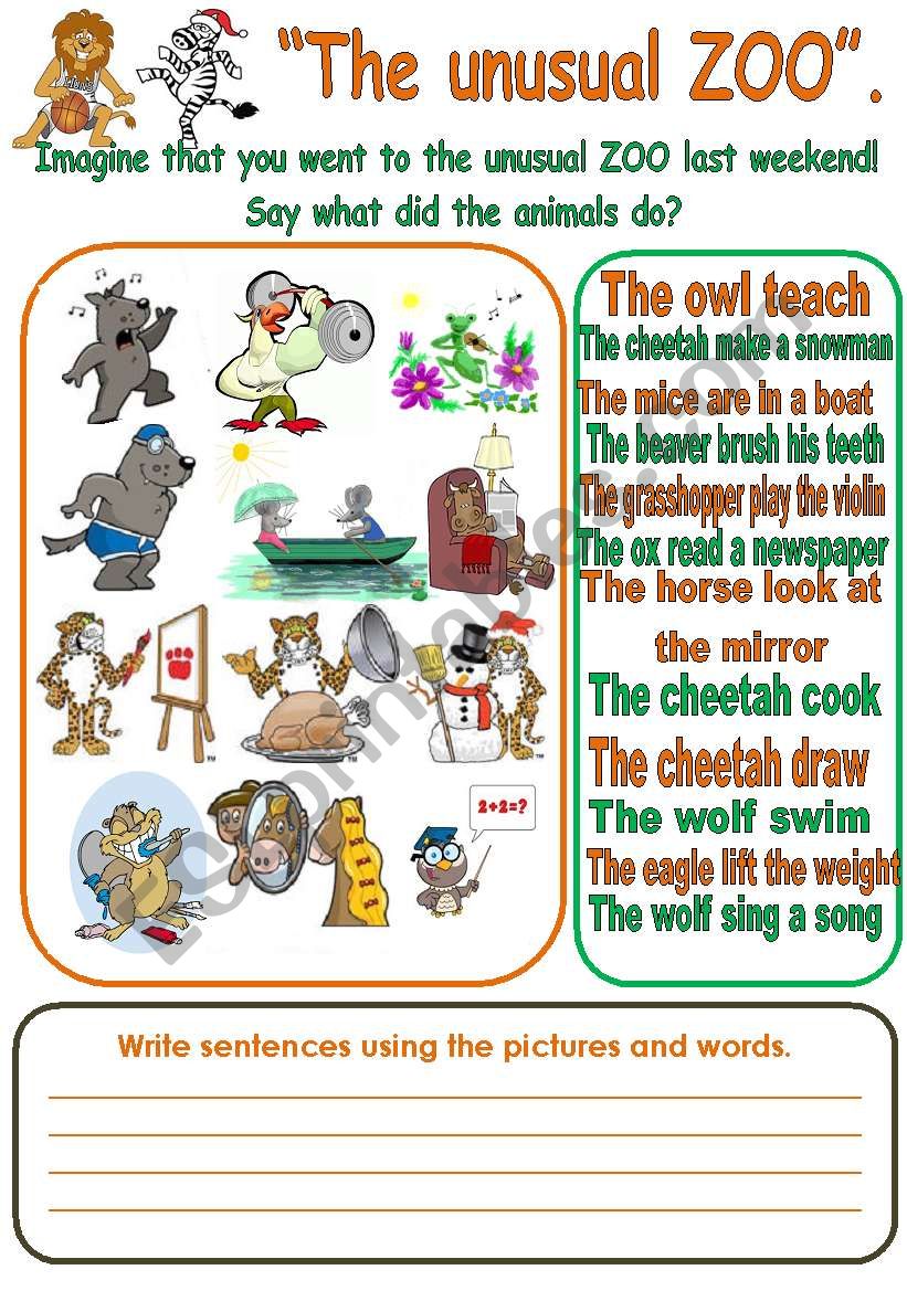 THE UNUSUAL ZOO. worksheet