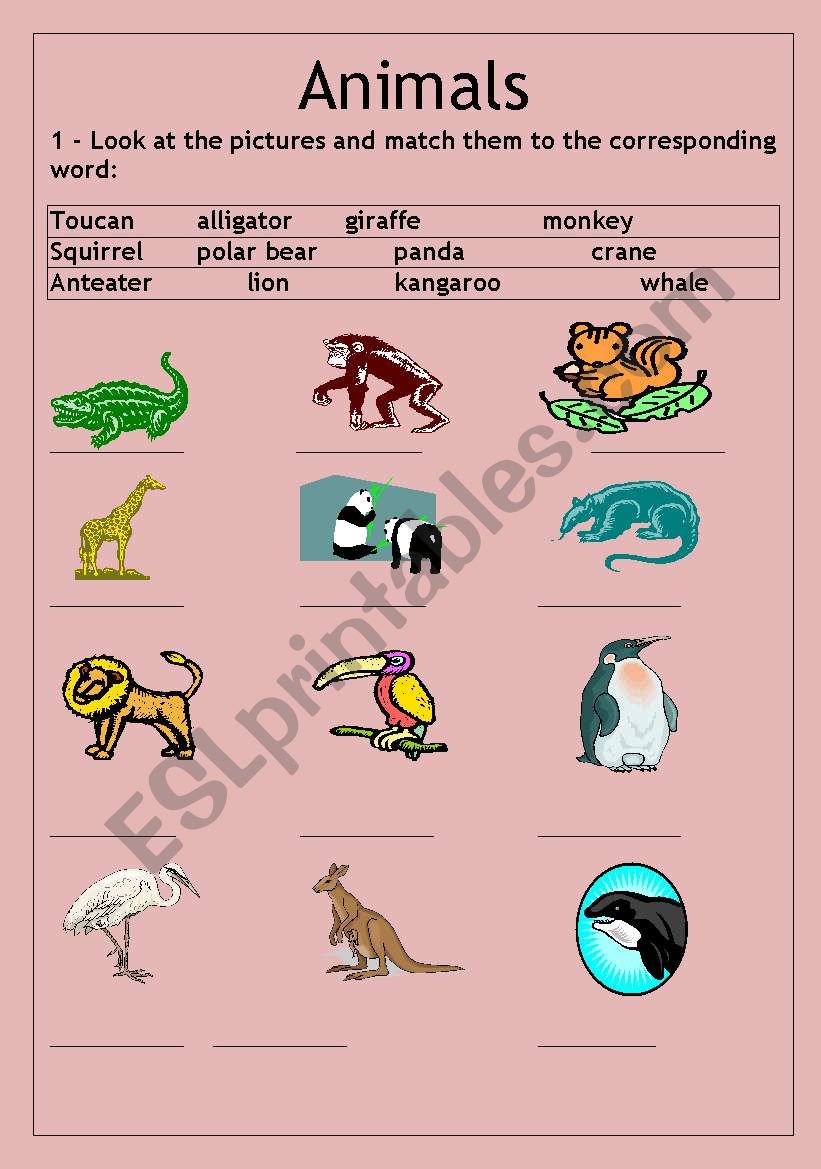 English Worksheets Animals And Their Food