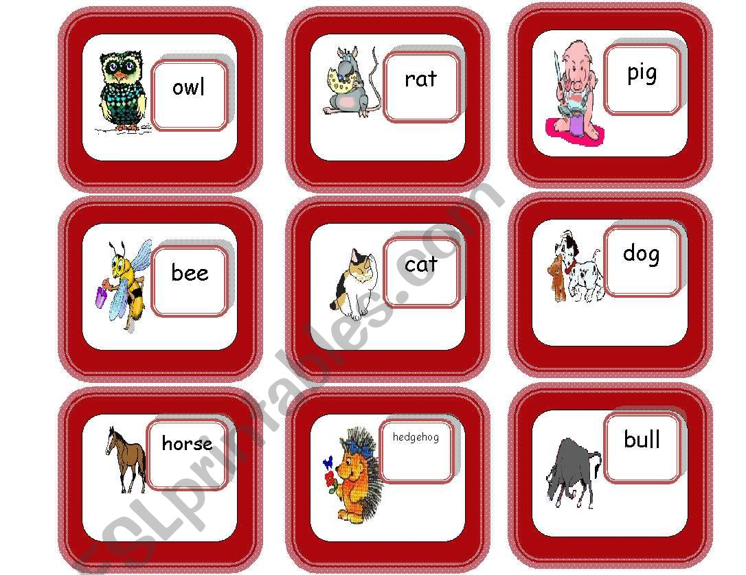 Animal Flashcards worksheet