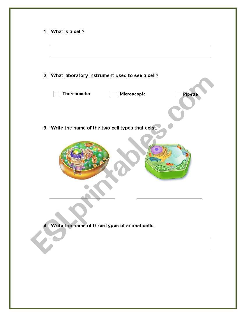 The cell activities worksheet