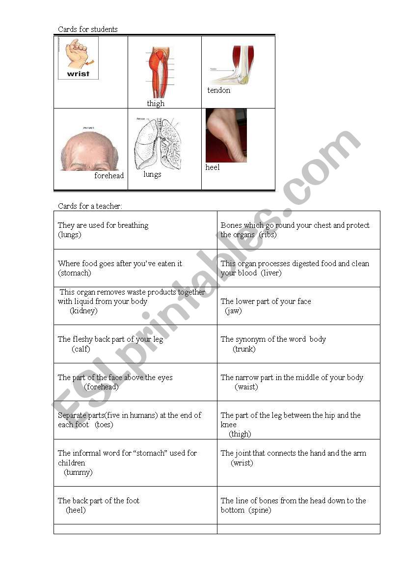 Body  bingo  descriptive  part  1