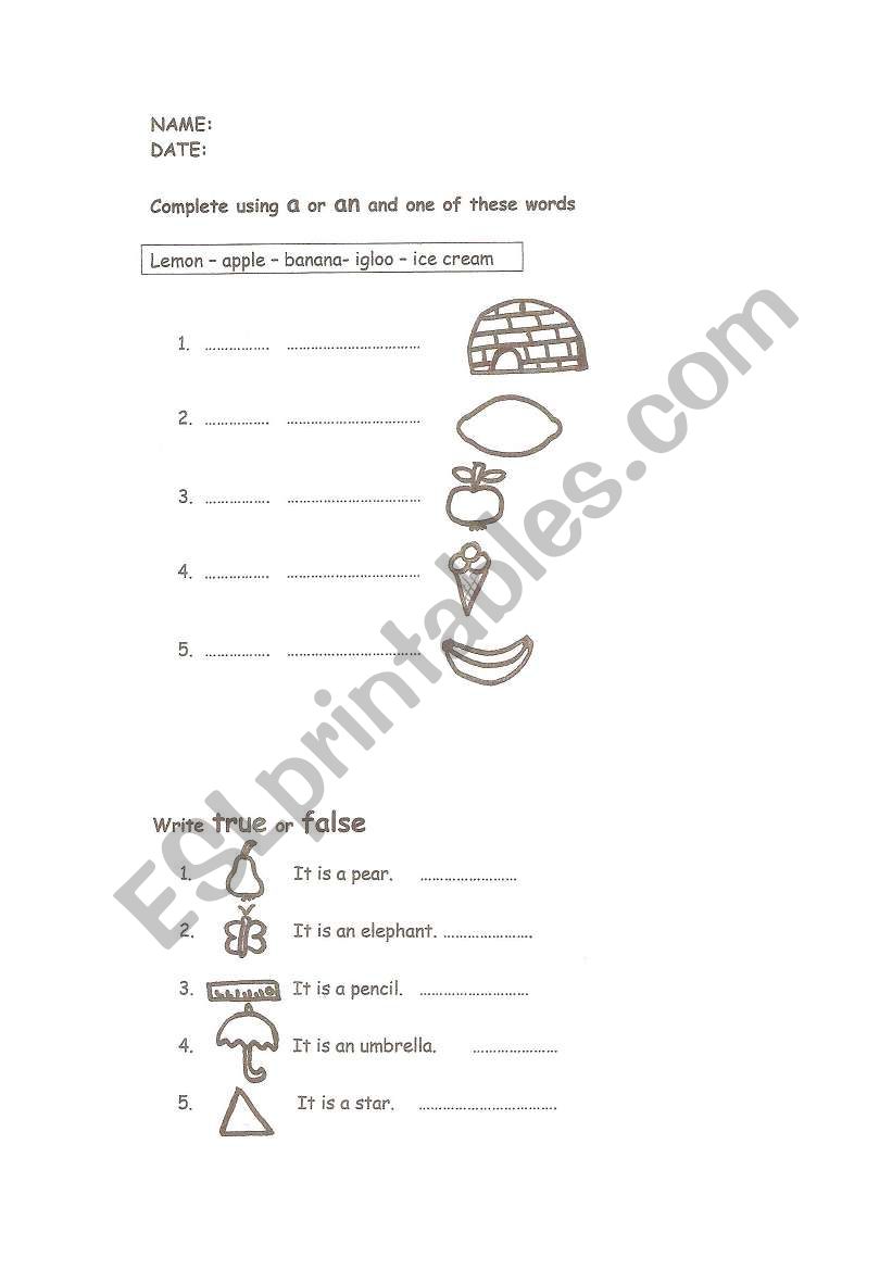 Complete using a or an worksheet