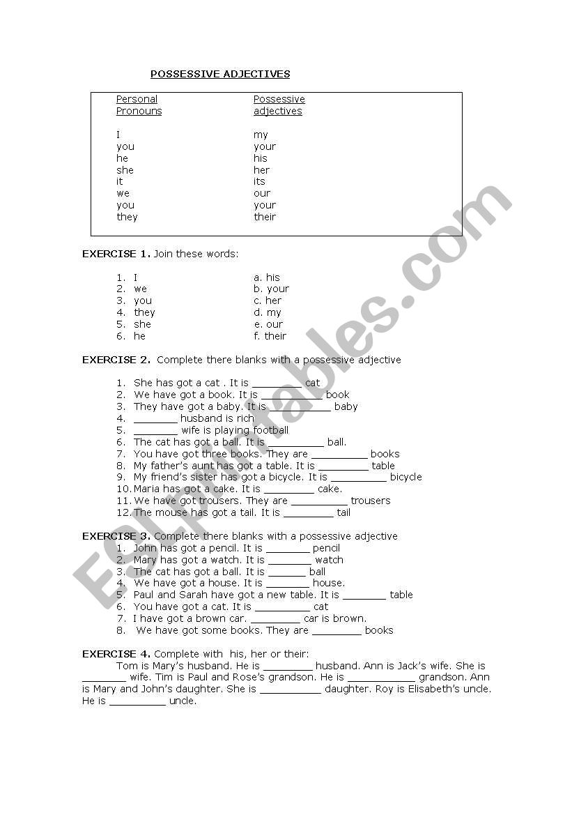 possessive adjectives worksheet