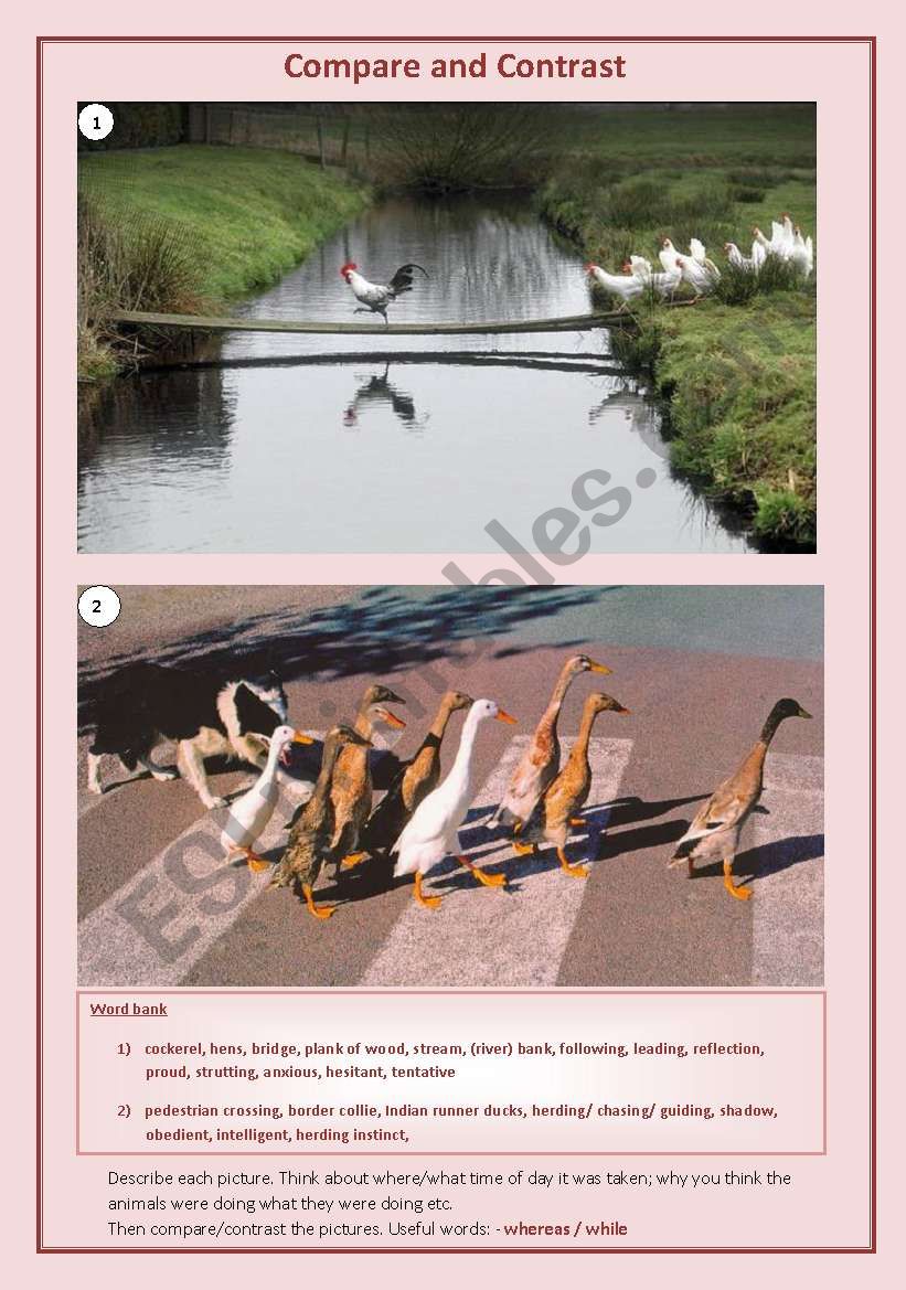 Describe, compare and contrast_1