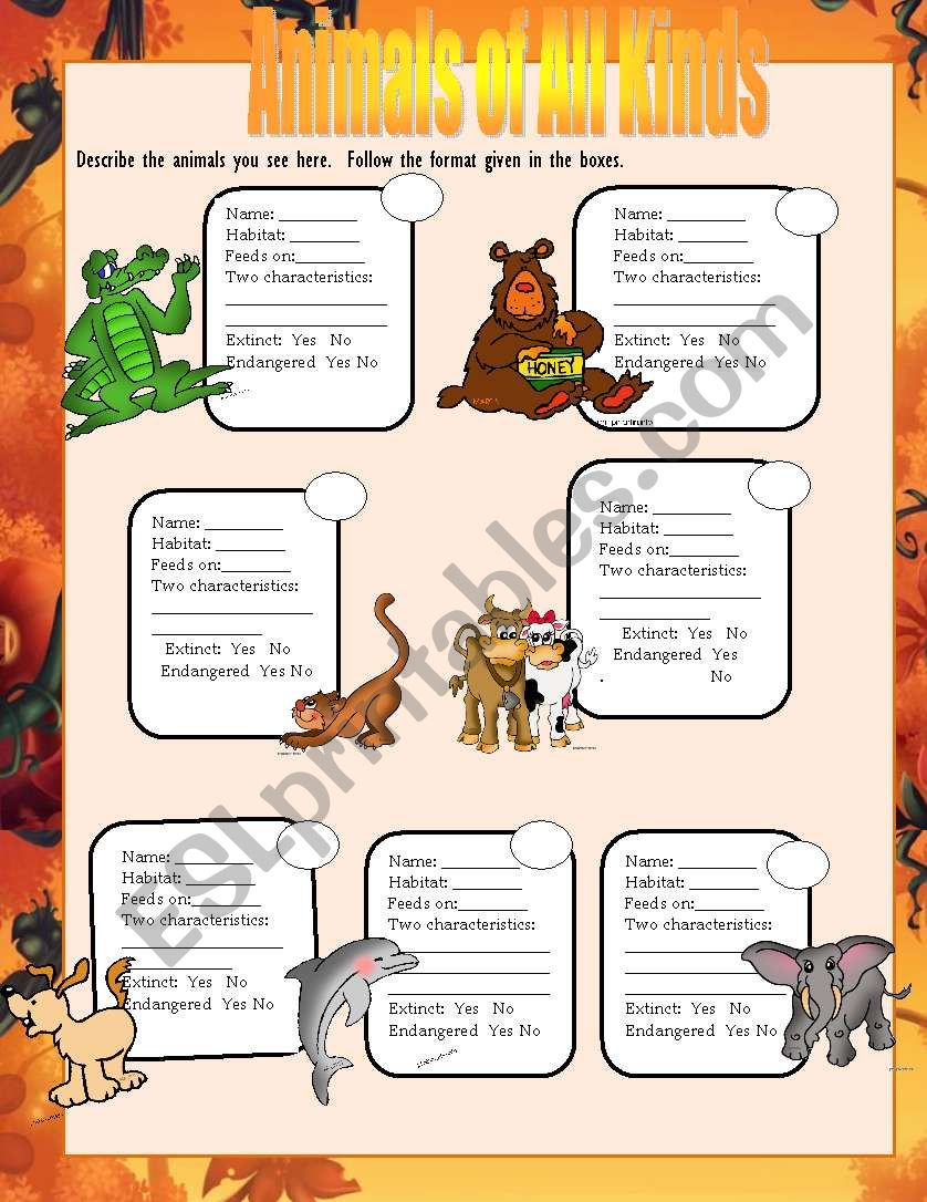 Types of animals worksheet