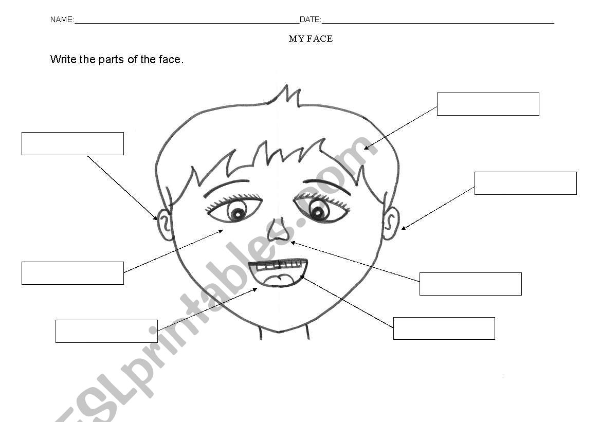 My Face worksheet