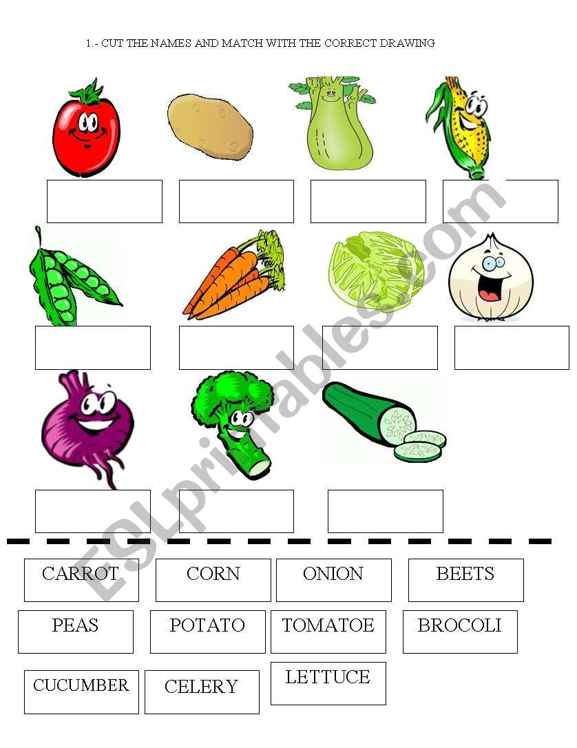 VEGETABLES CUT AND GLUE worksheet