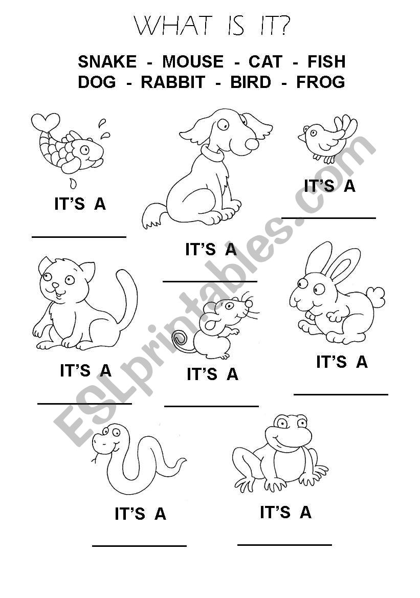Animals 1 worksheet