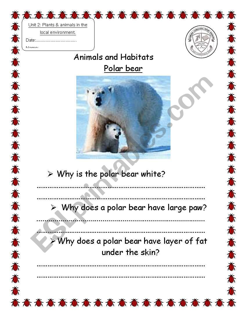 polar bear habitat worksheet