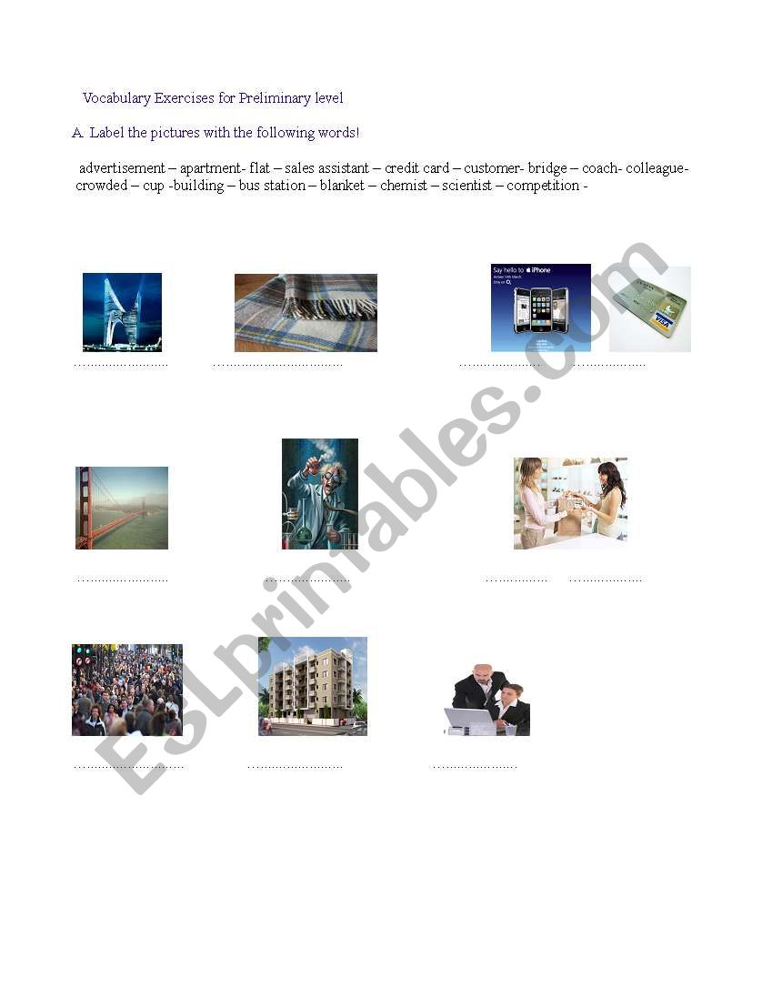 Vocabulary Exercise  worksheet