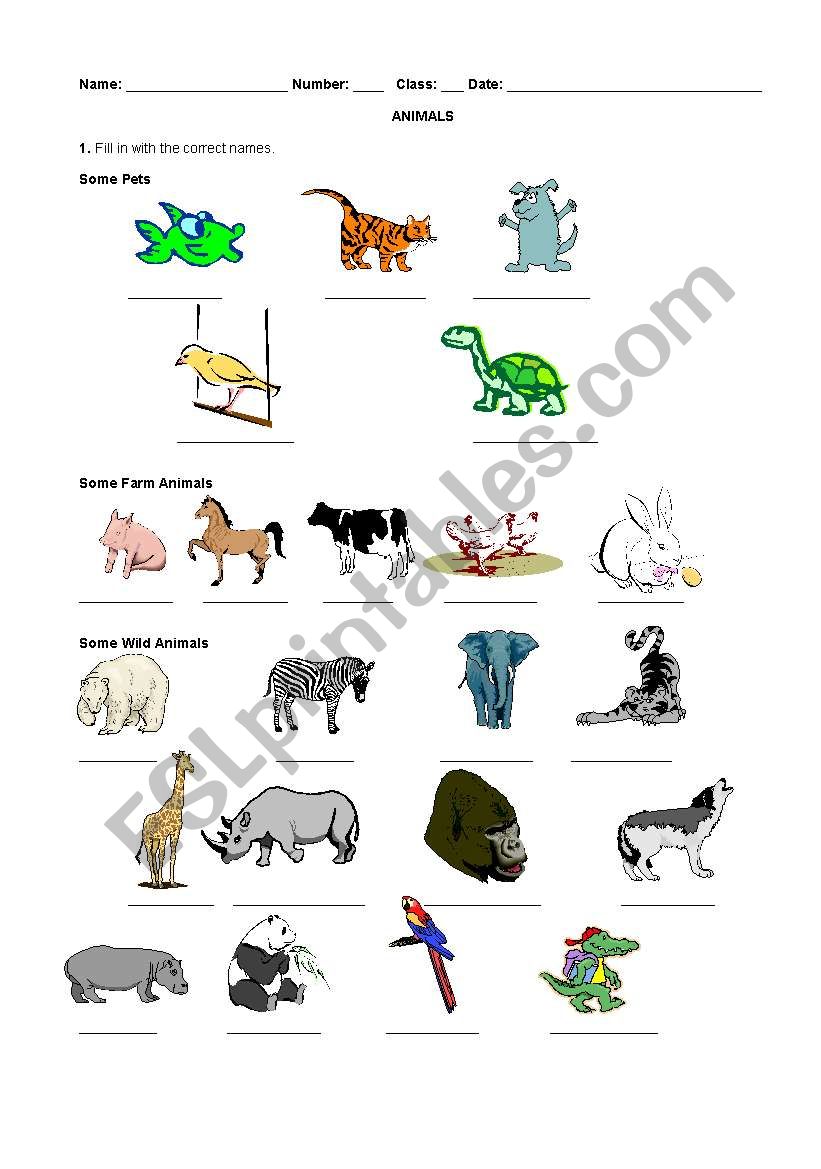 Animals worksheet